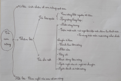 DẠY NGOÀI KHÔNG GIAN LỚP HỌC ĐỂ NÂNG CAO HIỆU QUẢ GIỜ DẠY
